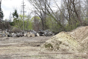 Firewood and mulch