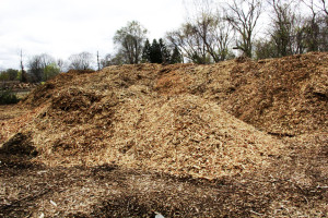 Mulch and wood chips pile